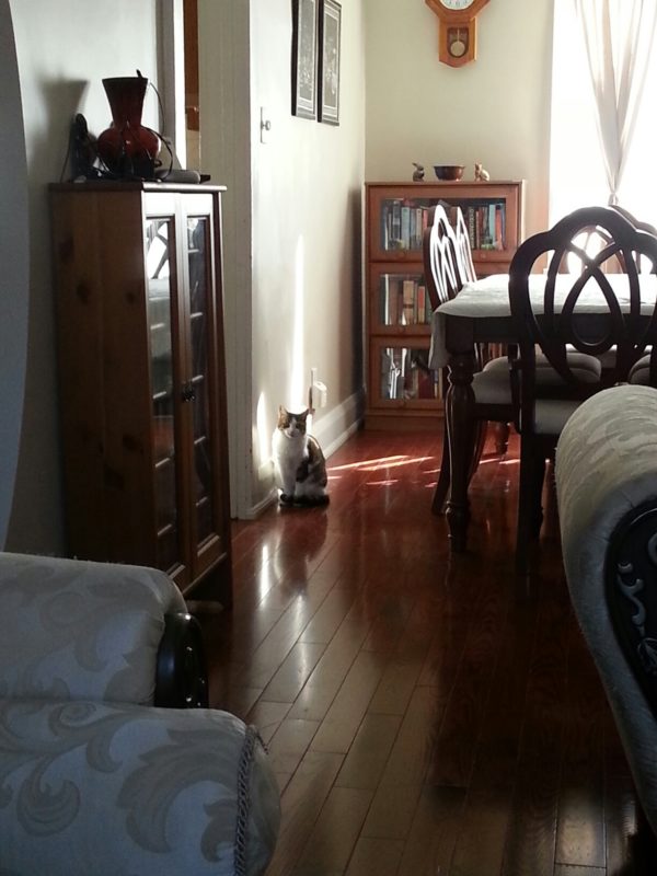 Lydia finds an errant ray of sun