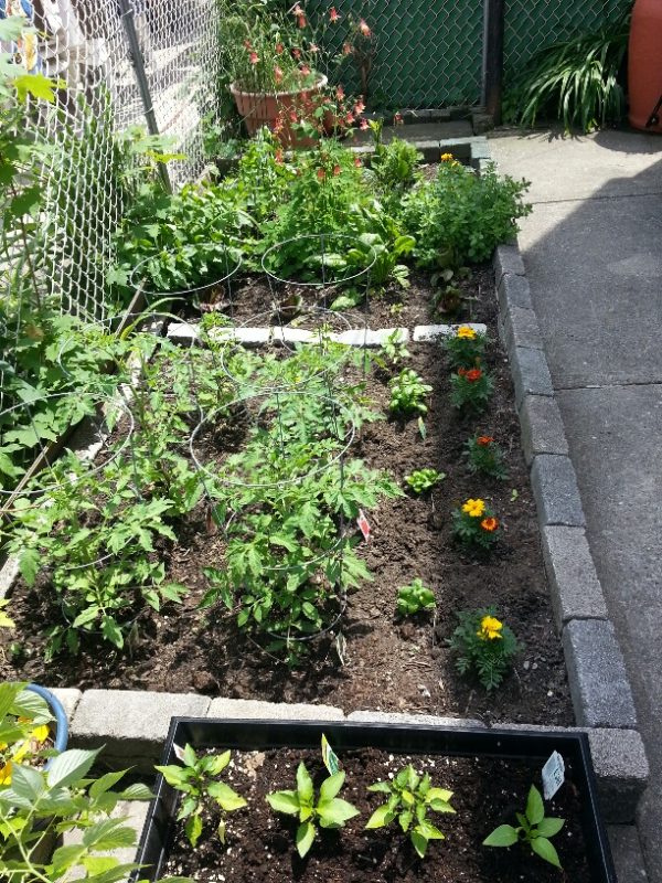 Side View, 1 June 2013