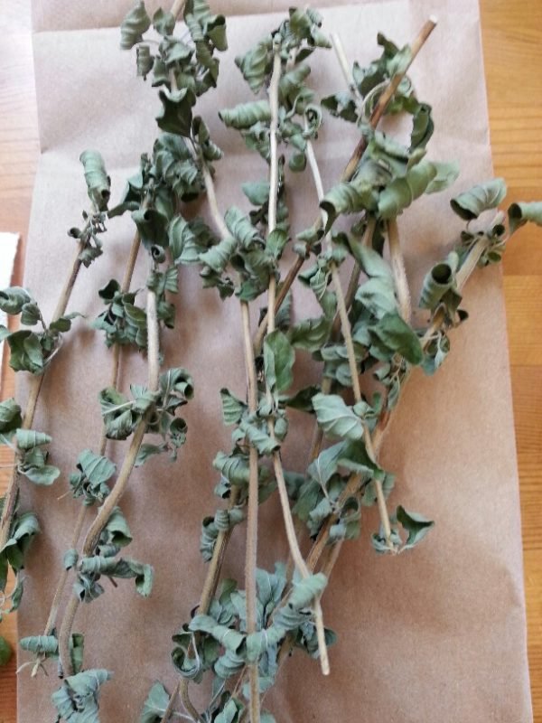 Dried oregano, 31 August 2013