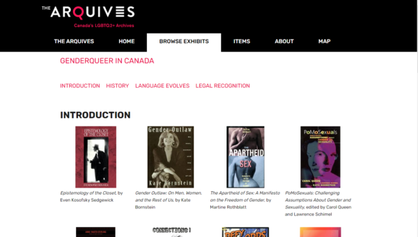Genderqueer in Canada exhibition screenshot