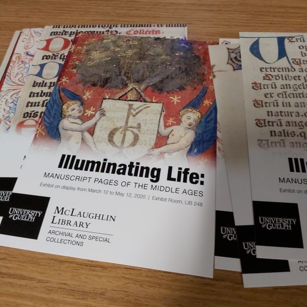 Illuminating Life: Manuscript Pages of the Middle Ages