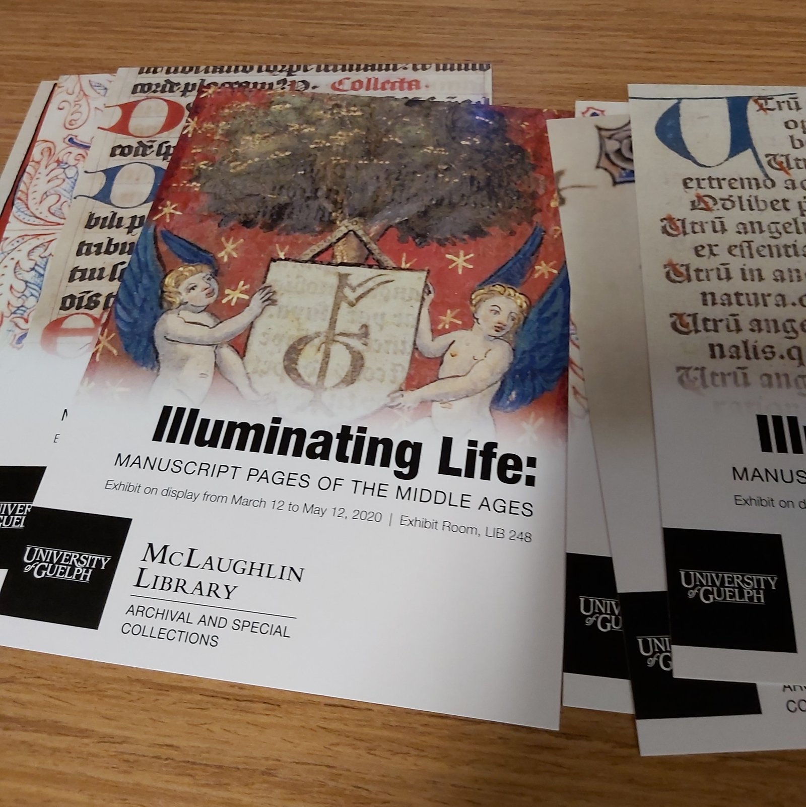 Illuminating Life: Manuscript Pages of the Middle Ages