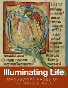 Cover of Illuminating Life: Manuscript Pages of the Middle Ages