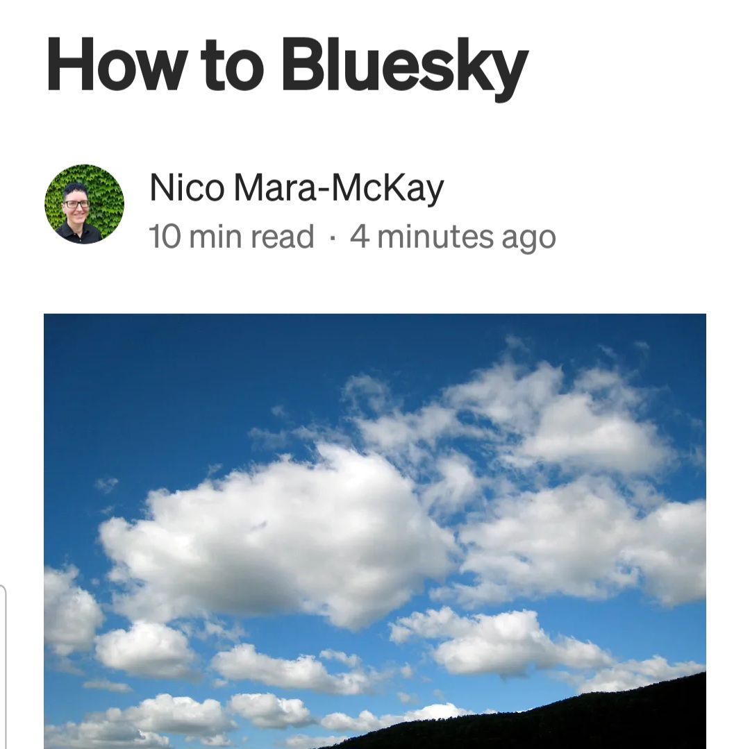 Screengrab of the article on Bluesky
