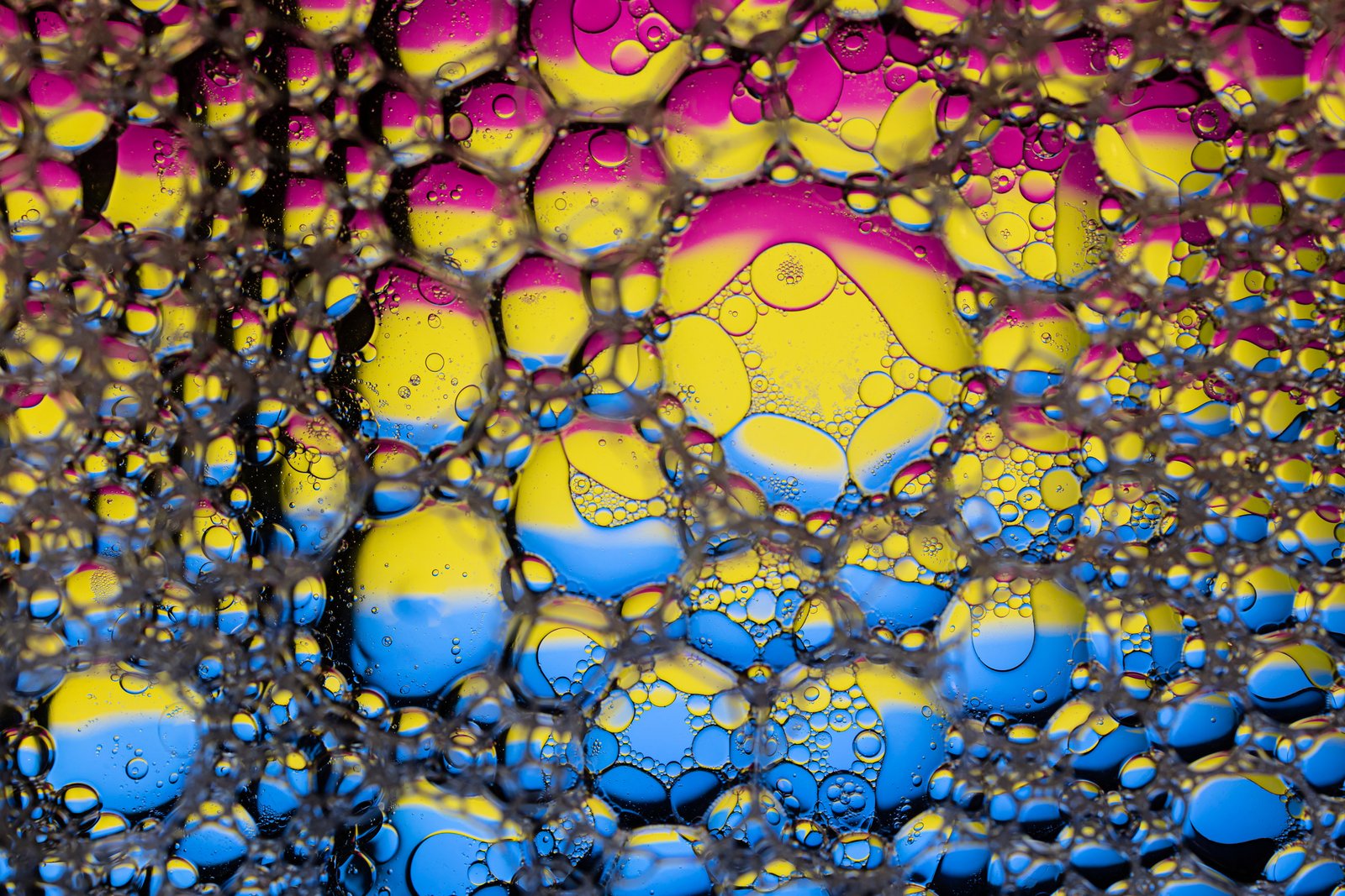 Bubbles with the colours of the Pansexual Pride flag (magenta, yellow, and cyan). Photo by Kat (matthileo on Flickr).
