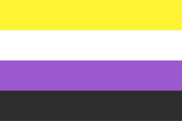Nonbinary flag with horizontal bars in yellow, white, purple, and black.
